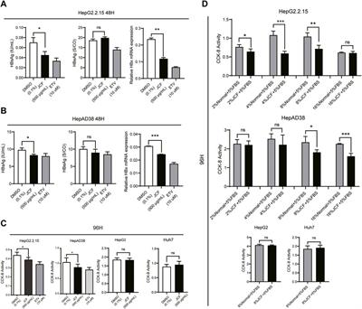 Exploring the mechanism of JiGuCao capsule formula on treating hepatitis B virus infection via network pharmacology analysis and in vivo/vitro experiment verification